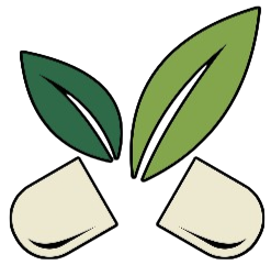 just logo photoroom